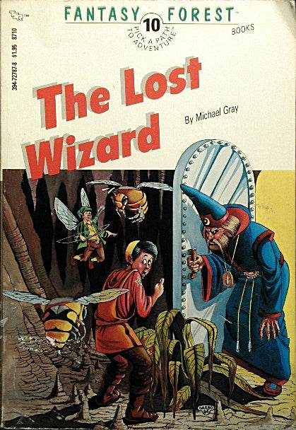 Fantasy Forest #10 - The Lost Wizard